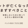 大切なペットが亡くなったときにまずすべきことを優しく解説するアイキャッチ画像