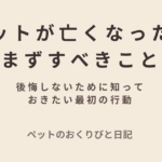 大切なペットが亡くなったときにまずすべきことを優しく解説するアイキャッチ画像