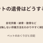 ペットの遺骨の供養方法について解説するアイキャッチ画像